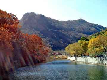 正新澳门二四六天天彩，大叶女贞产地